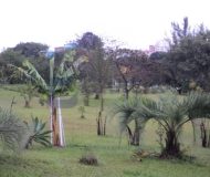 Apartamento com 50m², 2 dormitórios, 1 vaga no bairro Sarandi em Porto Alegre