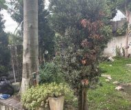 Casa com 300m², 3 dormitórios, 1 suíte, 3 vagas no bairro Jardim Itu Sabará em Porto Alegre