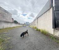 Terreno com 826m² no bairro São Sebastião em Porto Alegre