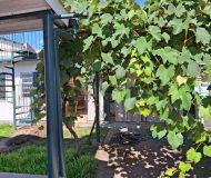 Casa com 220m², 3 dormitórios, 1 suíte, 3 vagas no bairro Sarandi em Porto Alegre