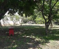 Terreno com 375m² no bairro Passo da Mangueira em Porto Alegre