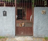 Casa com 150m², 3 dormitórios, 4 vagas no bairro Sarandi em Porto Alegre