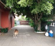 Casa com 150m², 3 dormitórios, 4 vagas no bairro Sarandi em Porto Alegre