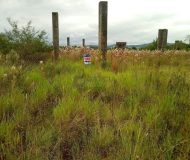Terreno com 192m² no bairro Santa Maria em Taquara