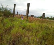 Terreno com 192m² no bairro Santa Maria em Taquara