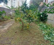 Terreno com 371m² no bairro Passo da Areia em Porto Alegre