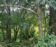Terreno com 1.224m² no bairro Morro Santana em Porto Alegre