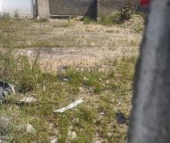 Terreno com 1.217m² no bairro São Sebastião em Porto Alegre