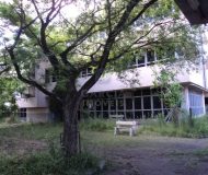 Terreno com 8.000m² no bairro Anchieta em Porto Alegre