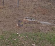 Terreno com 300m² no bairro Ecoville em Porto Alegre