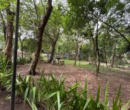 Apartamento com 42m², 2 dormitórios, 1 vaga no bairro Morro Santana em Porto Alegre