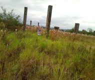 Terreno com 192m² no bairro Santa Maria em Taquara