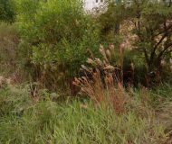 Terreno com 192m² no bairro Santa Maria em Taquara