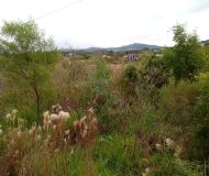 Terreno com 192m² no bairro Santa Maria em Taquara