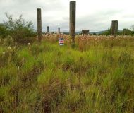 Terreno com 192m² no bairro Santa Maria em Taquara