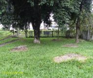  no bairro  em 