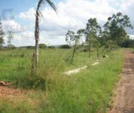  no bairro  em 