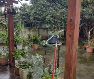 Casa com 195m², 5 dormitórios, 4 vagas no bairro Sumaré em Alvorada