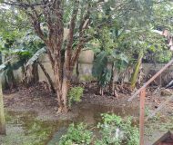 Casa com 195m², 5 dormitórios, 4 vagas no bairro Sumaré em Alvorada