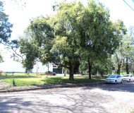 Casa com 200m², 3 dormitórios, 1 suíte, 3 vagas no bairro Parque Minuano em Porto Alegre