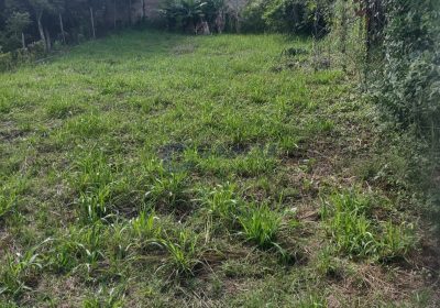 Terreno com 465m² no bairro Jardim Sabará em Porto Alegre