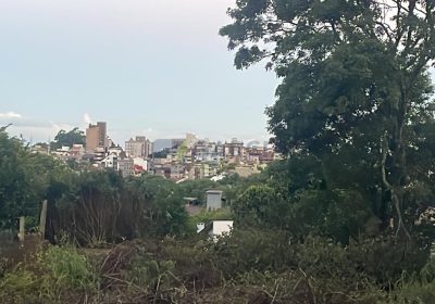 Terreno com 330m² no bairro Vila Ipiranga em Porto Alegre